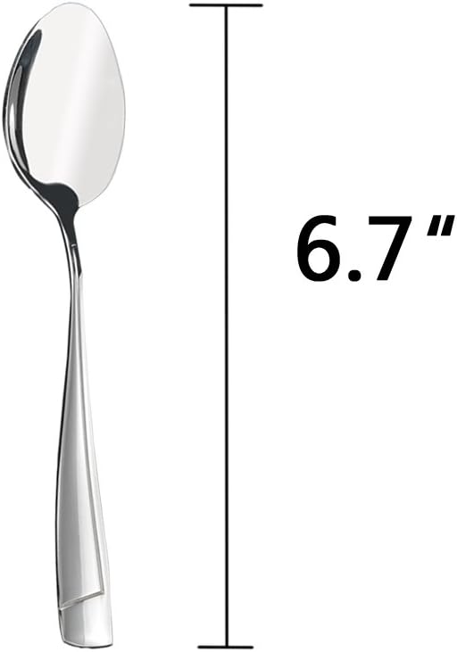 Cand 16 Pieces Stainless Steel Dessert Spoons, 6.69-Inch (Pack of 2)