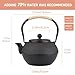 SECHUDO Small Tea Kettle, 40oz Tea Pot, Japanese Tetsubin, Cast Iron Teapot with Infuser for Stovetop Safe Coated with Enameled Interior (Black, 1200ml)