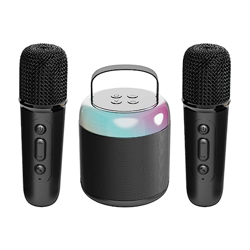 UGPLM Conjunto de alto-falante portátil sem fio Bluetooth para karaokê para crianças e adultos Siste