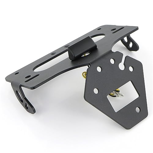 Support de plaque d'immatriculation Daytona 675 R pour vos sorties - 2