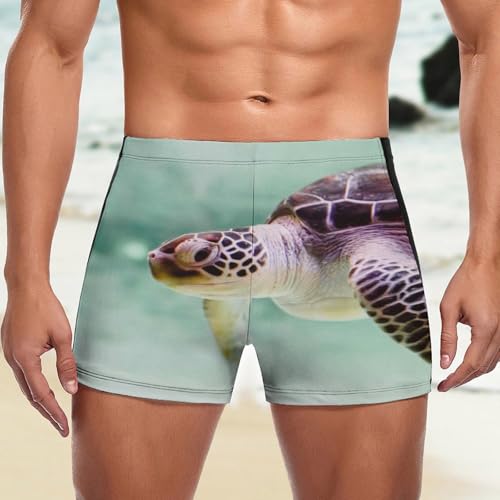 Swimming trunks homme tortue brune pour la natation