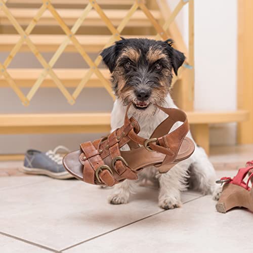 Relaxdays Hundeabsperrgitter, ausziehbar bis 96 cm, 48,5-60 cm hoch, Bambus, Hunde Schutzgitter für Treppe & Tür, Natur