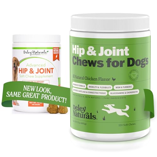 Hip and Joint Support Supplement for Dogs – Advanced Arthritis Pain Relief – Chondroitin, MSM, Organic Turmeric, & Glucosamine for Dogs – Made in USA – 120 Grain Free Soft Chews, Deley Naturals Hip and Joint Support Supplement for Dogs – Advanced Arthritis Pain Relief – Chondroitin, MSM, Organic Turmeric, & Glucosamine for Dogs – Made in USA – 120 Grain Free Soft Chews, Deley Naturals