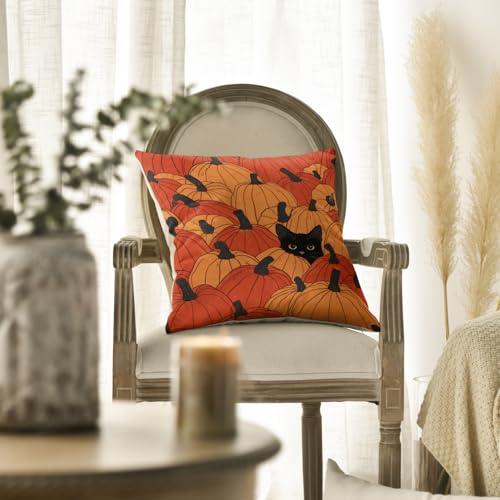 Coussin automne chat noir pour une déco de ferme chaleureuse