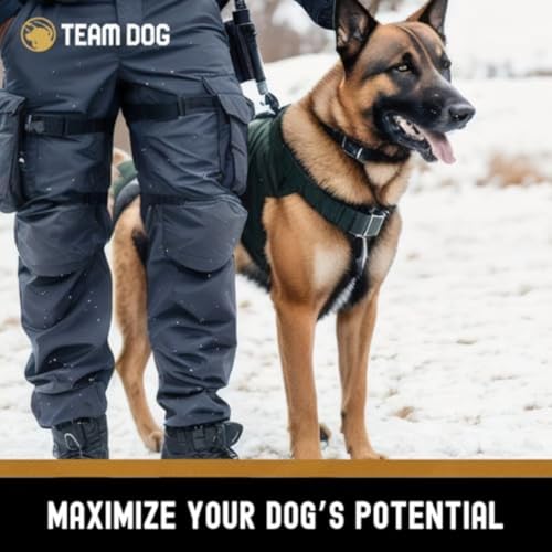 Image of Team Dog Raw Frozen Dog Food | 65% Beef Muscle, Organ Meats, Herring & Green Tripe for Dogs | All Natural Grain Free Dog Food for Optimal Health, Digestion & Coat | 16 x 1lb Rolls