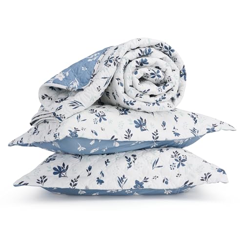 Image of Bedsure Floral Quilt Twin Size - Reversible Blue & White Floral Comforter, Daisy Design Lightweight Bedspread Quilt Bedding, Soft Microfiber Coverlet for All Seasons (68 inchx86 inch)