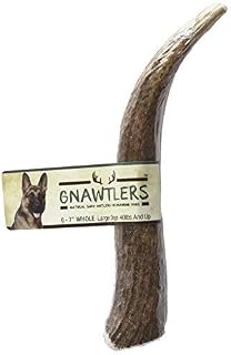 Gnawtlers - Premium Elk Antlers For Dogs, Naturally Shed Elk Antlers, USA Natural