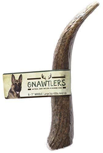 Gnawtlers - Premium Elk Antlers For Dogs, Naturally Shed Elk Antlers, USA Natural