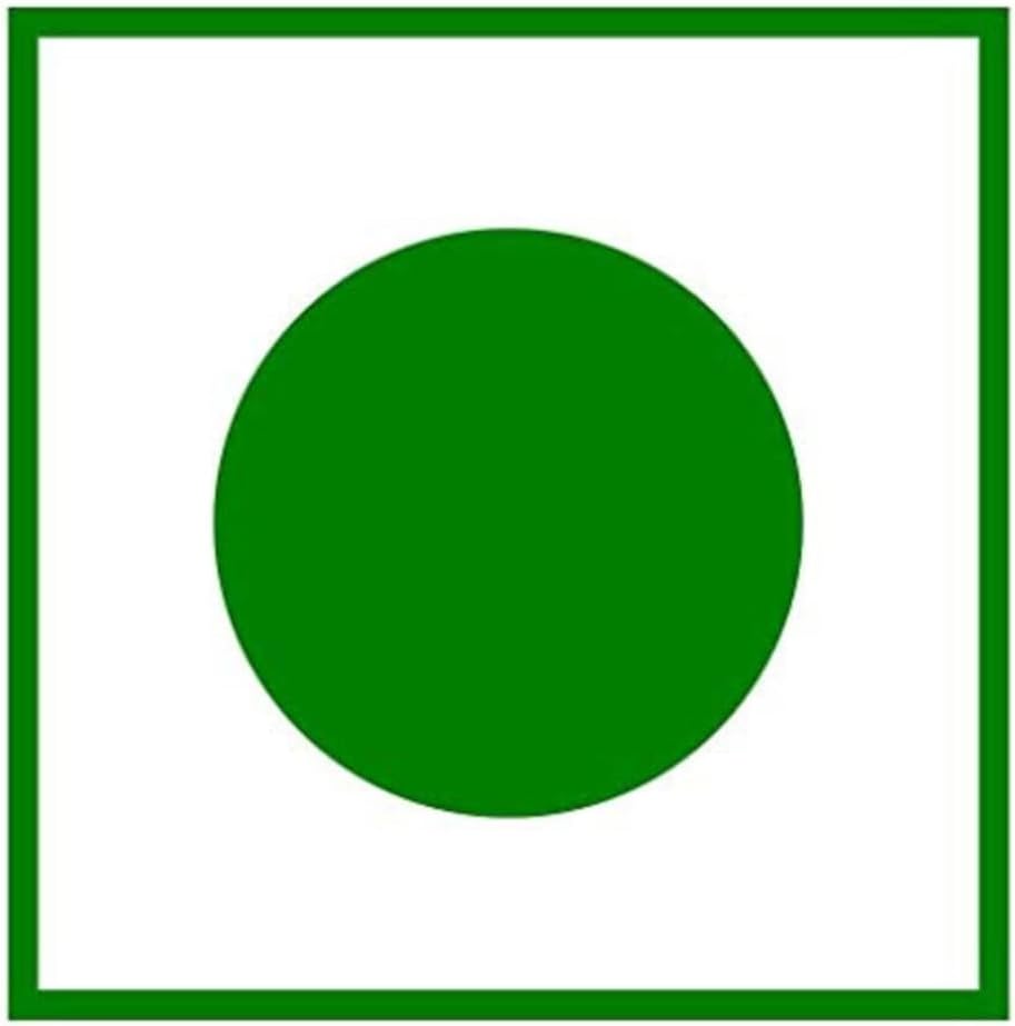 ANP BEE Raw Natural Honey I Supports Weight Loss I NMR Tested Unprocessed & Unfiltered Original Pure Honey I Multiflora Honey I Good for Heart Health I Plastic Bottle (Pack of 3, Honey 250gm)