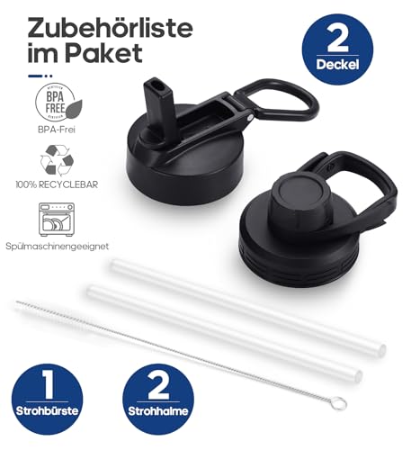 HydroPal Edelstahl Trinkflasche - 500/750ml/ 1L/1.2L/1.9L, BPA-Frei, Kohlensäure geeignet, Isolierte flasche mit Strohhalm & 2 Deckel