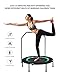 Ludosport Foldable Trampoline Rebounder 40 Inch Fitness Trampoline for Kids Adults Workout Max Load 300 lbs Rebounder Jumping