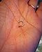 20g Gold and Silver Fake Nose Ring - No Piercing Needed - Handmade Clip-On Faux Hoop