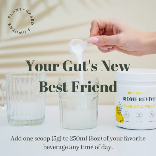 Purefully Biome Revive Prebiotic Fiber Supplement With Nutraflora Fos - Unflavored Soluble Fiber Powder For Gut Health, Digestion, And Immune Support - Men & Women - Sugar Free, Vegan - (40 Servings) #TOP5