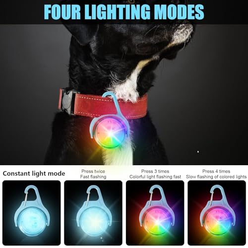 GOMETY 2 Stück Hundelicht LED Wiederaufladbar, 4 Modi Hundehalsband Licht Clip On RGB Sicherheitslicht Haustier IPX8 Wasserdicht Leuchtanhänger für Nacht Spaziergänge Hundegeschirr Beleuchtung (Blau)