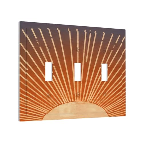 Plaque d'interrupteur électrique pour harmoniser vos murs