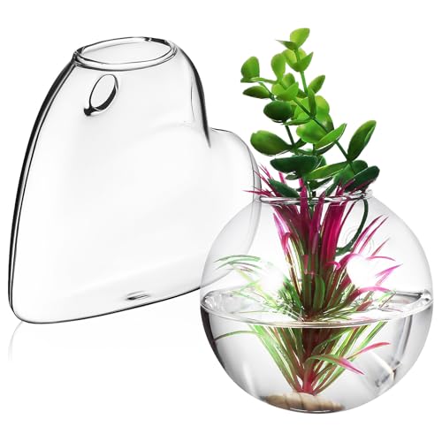 jojofuny Maceta de Vidrio de Borosilicato para Plantas Colgante de Pared, Terrario Decorativo Transparente 10 Cm, Soporte Hidropónico Accesorios sin Marcas para Jardinería Interior