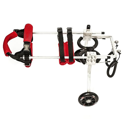 Fauteuil roulant pour chien pour les promenades quotidiennes en famille