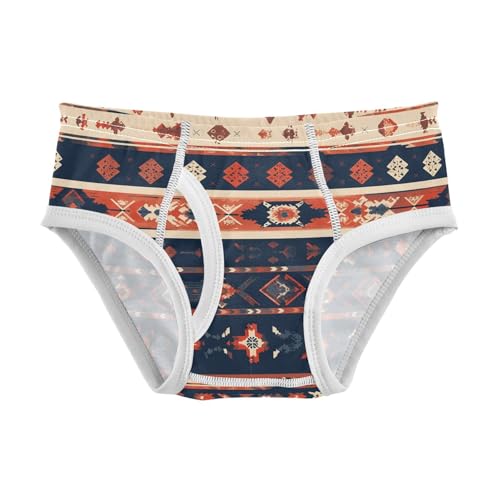 visesunny Boys Potty Training Underwear Shamanic Drum Pattern Breathe Cotton Briefs Size 2T-8Y for Toddler