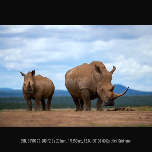 Panasonic S-E70200E LUMIX S PRO Objektiv (70-200mm, F2.8, Staub, Spritzwasser und K&auml;lteresistent) Schwarz