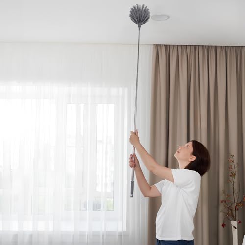 Image of PRETYZOOM Extendable Cobweb Duster with Telescoping Pole and 3 Cleaning Heads Lightweight Spider Web Remover for High Ceilings and Outdoor Use Adjustable Length up to 94.5 Inches