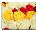Produktbild (Präzision gesäumte) Naturkautschuk-Mausunterlage Gelbe rote und weiße Rosen in einem Wedding centerpiece3