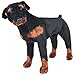 Festnight Jouet en Peluche pour Enfant Chien de Race Rottweiler Marron et Noir XXL