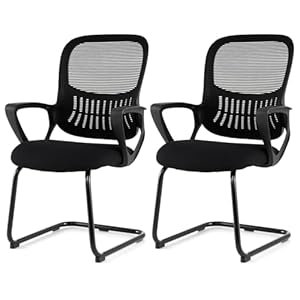 COSTWAY Freischwinger Stühle 2er Set, Konferenzstühle mit Armlehne & Lendenwirbelstütze, Schwingstühle, Bürostühle, Besucherstühle für Büro, Konferenzraum, Arbeitszimmer