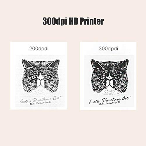 Versão global C1 Mini impressora térmica BT4.0 300dpi 2600mAh Bateria sem tinta para impressão de te