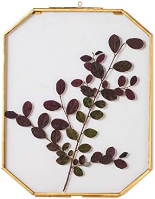NCYP Small Hanging Brass Glass Photo Frame, 10.2x15.3cm Octagon Frame for Pressed Dried Flowers Leaves, Double Glass Floating Frame Herbarium, Modern Handmade Wall Decor, Glass Frame Only