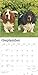 Basset Hounds | 2025 12 x 24 Inch Monthly Square Wall Calendar | Plastic-Free | BrownTrout | Animals Dog Breeds