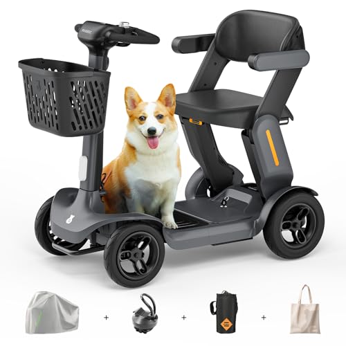 Paiseec S3 All-Terrain Mobility Scooter for Seniors