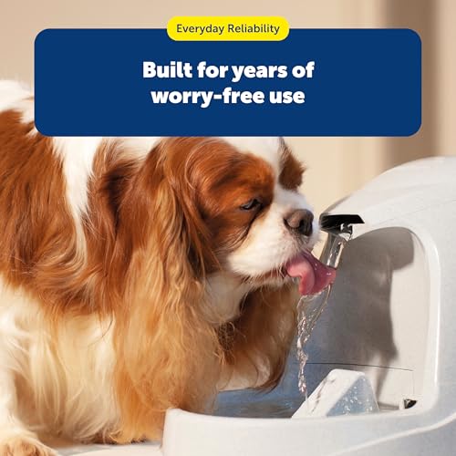 PetSafe Drinkwell Premium Carbon Filters, Dog & Cat Water Fountain Filters - image 6