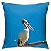 Taies d'oreiller Coussin d'oreiller pélican Australien Couvre la taie d'oreiller carrée décorative Coussin de Coussin Solide pour canapé Chambre de Chambre 18 x 18 Pouces