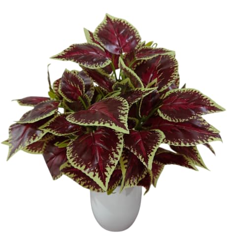Image of Natural Looking Artificial Money Plant /Tree with Pot | Ornamental Plant for Interior Decor | Home /Shop /Office Decor (Maroon)