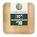 Charity Leaf 10" Square Palm Leaf Plates 200-pack Eco-Friendly 1
