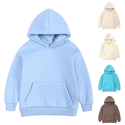 Toddler Boys Girls Pullover Fleece Sweatshirt Children Solid Plus Babies Hooded Color Top Coat (B, 14-15 Years)