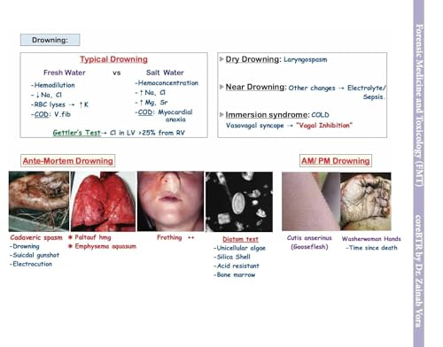 Image of CoreBTR Computerised Annotated Notes | 3 Volumes Set | Spiral Bound