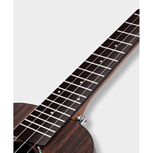 Ukulélé Ukulele Débutant Rosewood Ukulele Petite Guitare Ceinture Accessoires Sac Ukulele, Tuner, Bracelet, Pick… - Les Beatles, Paul McCartney, John Lennon, RIngo Starr, George Harrison Ukulélé Ukulele Débutant Rosewood Ukulele Petite Guitare Ceinture Accessoires Sac Ukulele, Tuner, Bracelet, Pick… – Image 5