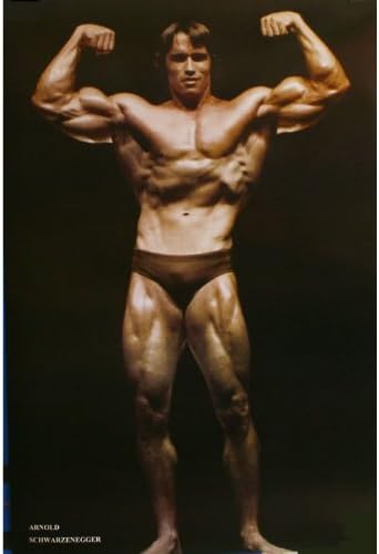 Arnold Schwarzenegger Body Building Poster 1807
