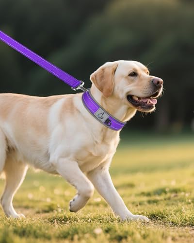 Image of Joytale Dog Collar for Large Dogs, Neoprene Padded and Adjustable, Reflective Wide Heavy Duty Pet Collars with Durable Metal Belt Buckle for Walking, Purple, L
