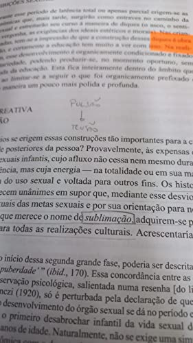 OBRAS PSICOLÓGICAS COMPLETAS - SIGMUND FREUD - 24 VOLS. - BROCHURA