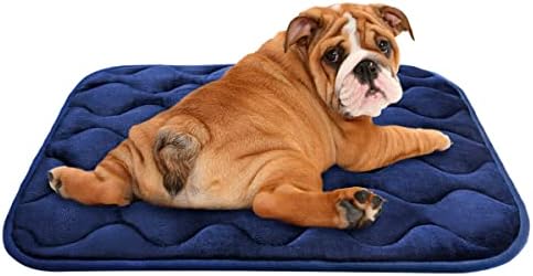 dog mat amazon