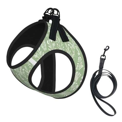 Sage Green Wildflowers No Pull Dog Harness and Leash Set, Reflective Vest for Small Dogs Adjustable, Cute Breathable Mesh Puppy Harness for Walking Leash Training,Small