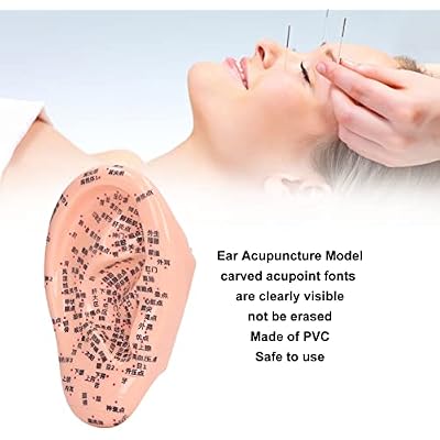 Learning Ear Acupuncture Model, Reflexology Tool Silicone Ear Acupuncture Model Display Soft for Lab