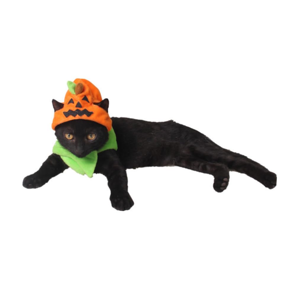Beavorty 3 Pezzi Cappello Per Halloween Per Cani E Gatti Decorazione Per Cosplay Per Animali Domestici Elegante E Confortevole Per Feste Foto Ed Eventi