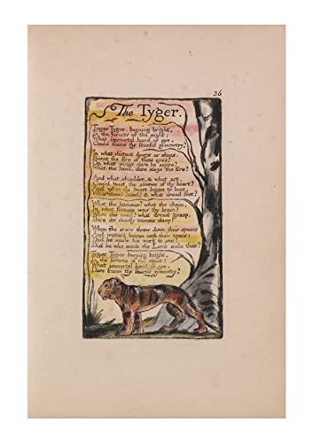 Grand poster William Blake The Tyger affiche encadrée semi brillant Spiffing Prints