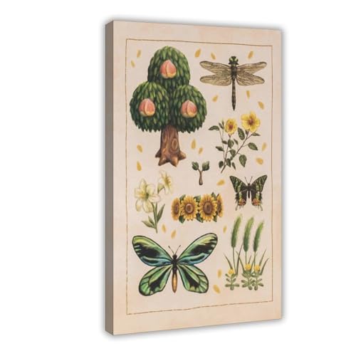 Impression sur toile insectes et plantes 40x61 cm pour chambre