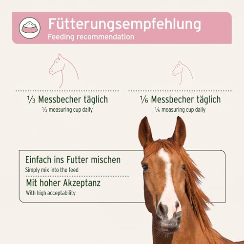 AniForte 4in1 Complete für Pferde 3kg - Natürliche Rundumversorgung mit Bierhefe BT, Hagebutte, Kieselgur, Präbiotika Topinambur, Vitamine & Mineralstoffe