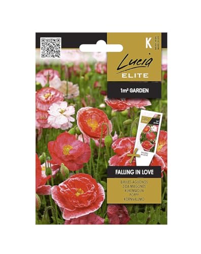 Lucia Elite | Graines de pavot FALLING IN LOVE | Graines de Fleurs | Graines de Plantes | Variété de fleurs annuelles avec des fleurs semi-doubles, roses et bicolores | Graines de Jardin | 1 Paquet