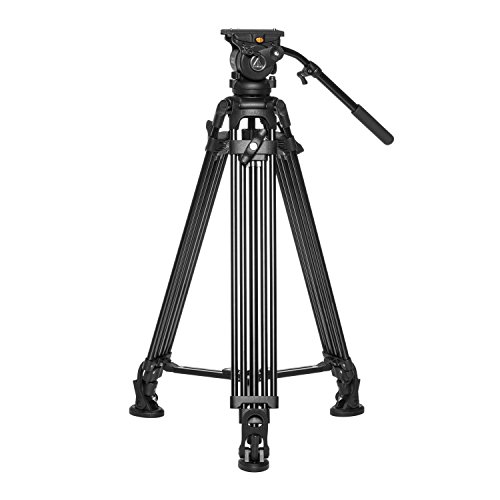 Ikan 2 Stage Aluminum Video Tripod W/ Gh05 Fluid Pan/Tilt Head, Maximum Height: 67″, 75Mm Bowl, Variable Tilt/Drag, 15.4Lb Capacity, Includes Padded Shoulder Bag (Eg05A2) - Black #TOP2